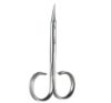 Picture of Rubis Scissors Nail in Perspex Box