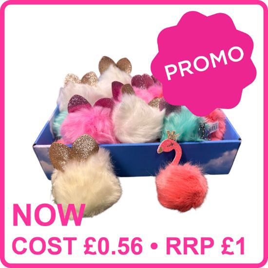 Picture of Assorted Keyrings in Tray