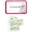 Picture of Shimmers - Clear Micro Claws