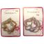 Picture of Shimmers - Shaped Coil Elastics